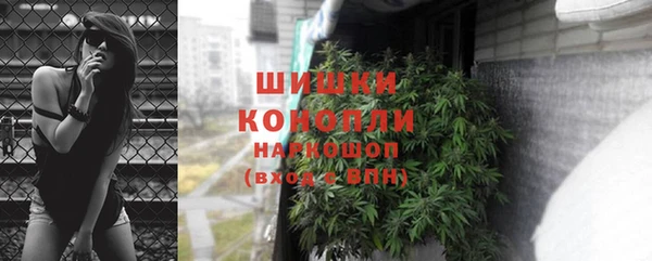 дмт Богородск