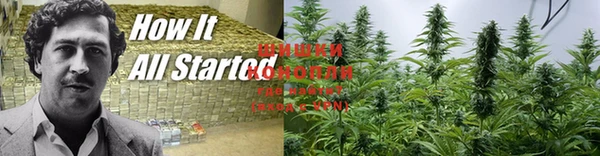 крисы Беломорск