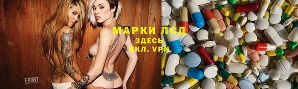 крисы Беломорск